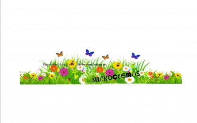 Entrons dans le MICROCOSMOS … Vacances d&rsquo;Avril…