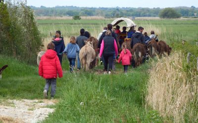 Balade contée et gourmande