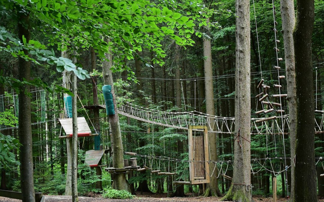 Programmation MDJ – Été 2020