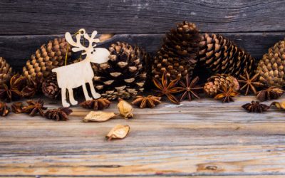 Programmation MDE – Décembre 2020