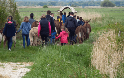 Balade Contée Gourmande