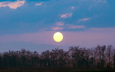 Balade nocturne – Observation faune & flore