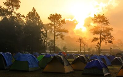 En route pour les séjours 2024 !